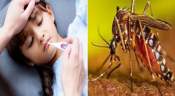 ২০২৫ সালে ডেঙ্গু পরিস্থিতি: উদ্বেগজনকভাবে বেড়েছে সংক্রমণ ও মৃত্যু